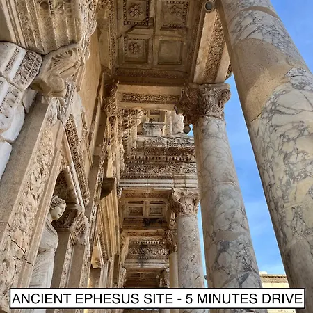 Elegant Ephesus - Hadrian *