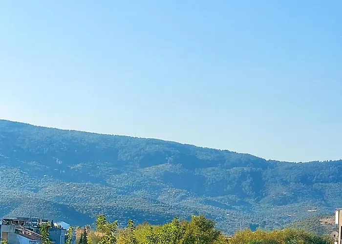 Elegant Ephesus - Hadrian