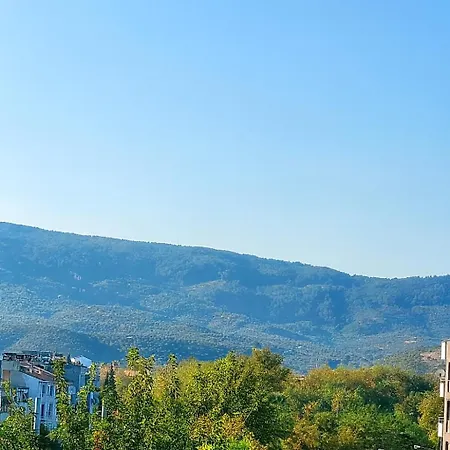 Elegant Ephesus - Hadrian