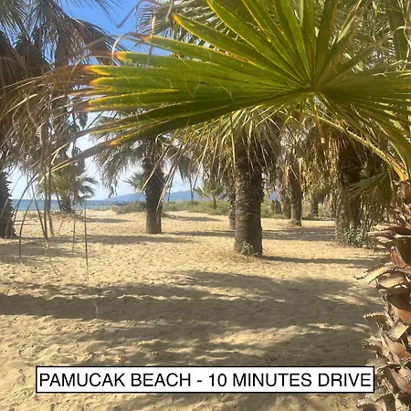 Elegant Ephesus - Hadrian Selcuk