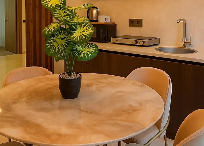 Elegant Ephesus - Hadrian 公寓 *