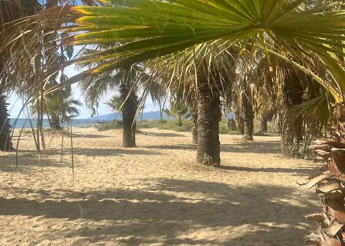 Elegant Ephesus - Hadrian Selcuk